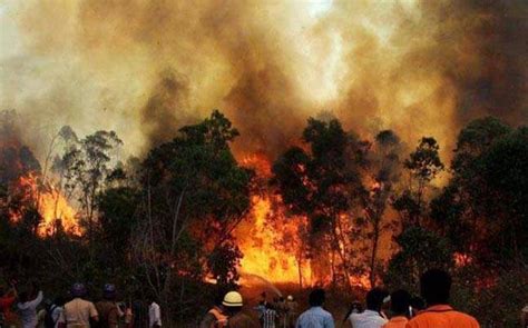 Forest Fires Rage In Himachal Uttarakhand Newsclick