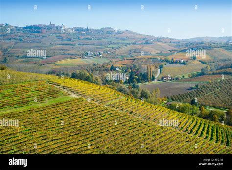Piedmont Italy Panorama Of Vineyards Of Piedmont Langhe Roero And