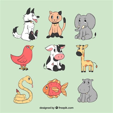 Animales Dibujos Animados