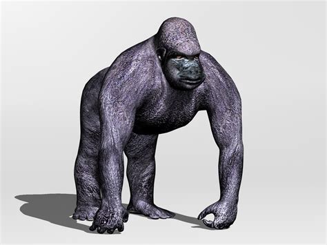 Gorilla 3d Model Max Obj 3ds Fbx C4d Blend