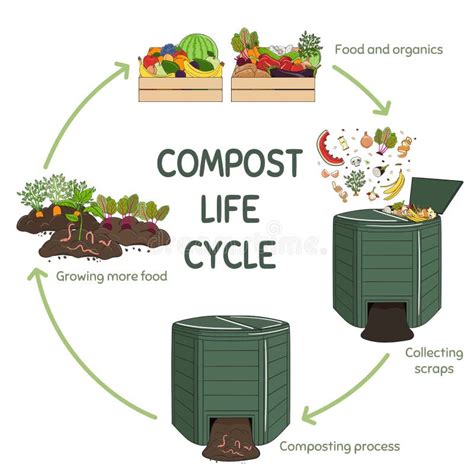 Infografía Del Círculo De Vida De Compost Proceso De Compostaje