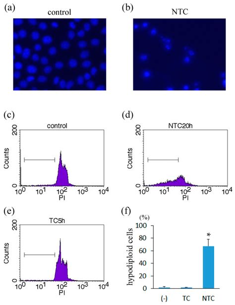 ijms free full text induction of apoptosis in tnf treated l929 cells in the presence of