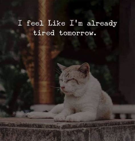 I Feel Like I’m Already Tired Tomorrow Tired Quotes Funny Memes Exhausted Humor