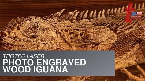 Trotec Laser Photo Engraved Wood Iguana Youtube