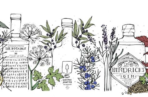 Easy Guide To The Best Gin Botanicals For Homemade Cocktails
