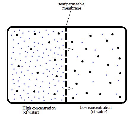 What is osmosis simple definition. Osmosis