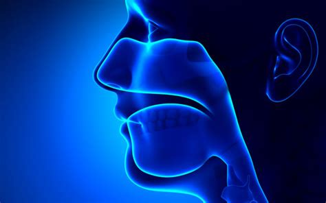 Otolaryngology Ear Nose And Throat Doctors Oaklawn Hospital