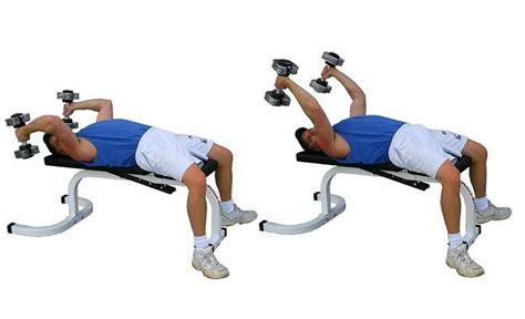 The tricep is the muscle responsible for the majority of the arms this is by far the best tricep exercise. Dumbbell Triceps Extension - How You Can Choose Different ...