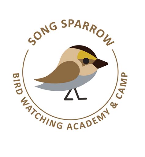Song Sparrow Bird Watching Academy