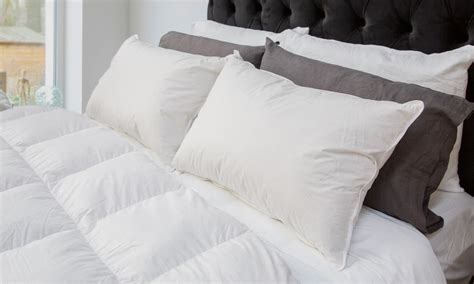 Standard size pillow 95% white siberian duck down australian made supreme quilts. Container Door Ltd | Duck Down & Feather Pillow - Two Pack #1