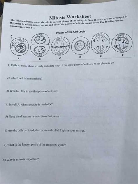 Maybe you would like to learn more about one of these? Cell Division and Mitosis Worksheet Answer Key together ...