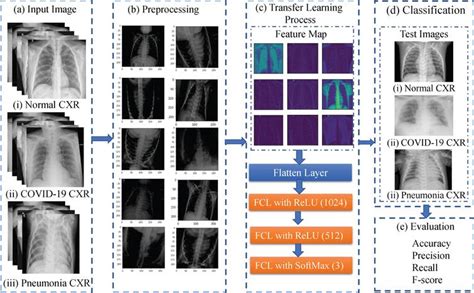 Identification Of Covid 19 Samples From Chest X Ray Images Using Deep