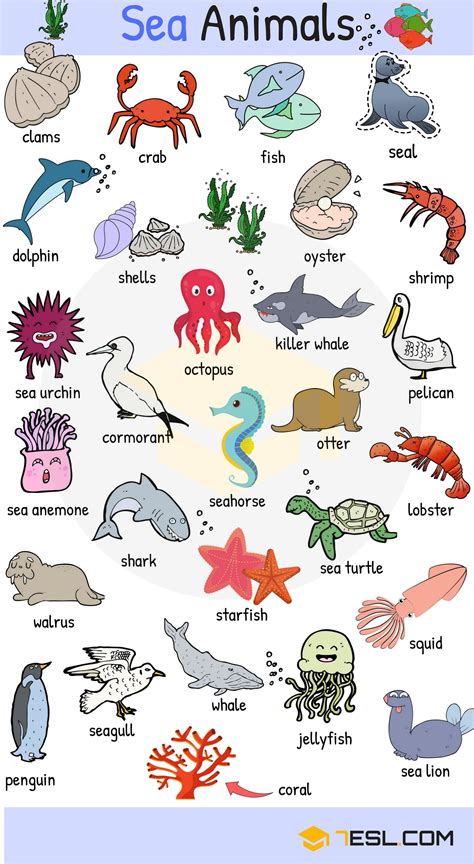 On this page you'll find each programme covers a key vocabulary point with all the explanations, examples and activities you need to become an english vocabulary champion. Learn Names of Sea Animals in English - ESLBuzz Learning ...