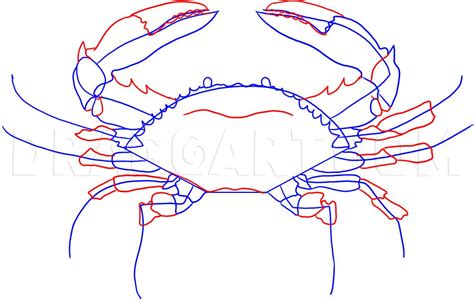 How To Draw A Crab Step By Step Drawing Guide By Dawn