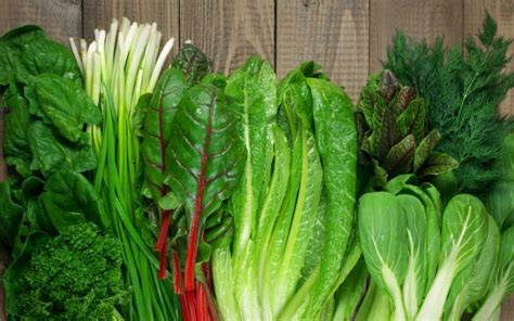 The Best Leafy Greens For Better Health