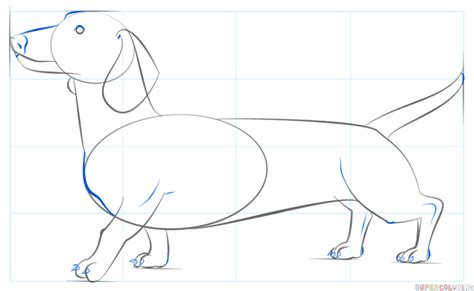 How To Draw A Dachshund Step By Step Drawing Tutorials