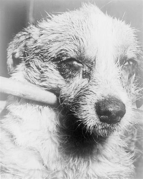 Learn about rsv symptoms in babies and children, and read about treatment, transmission, prevention, diagnosis, and prognosis. Rabies (Hydrophobia). Causes, symptoms, treatment Rabies ...