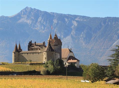 Vaccination is an important tool to help us get back to normal. COVID-19 | AVIVO Vaud