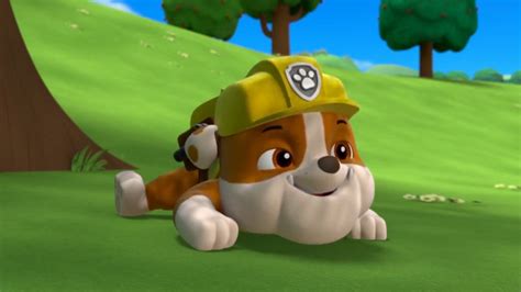 The vehicle number is 08. Paw Patrol Wallpapers High Quality | Download Free