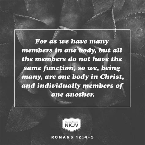 Nkjv Verse Of The Day Romans 124 5 Bible Knowledge Scripture