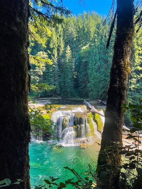 Beautiful Gifford Pinchot National Forest Camping Sites