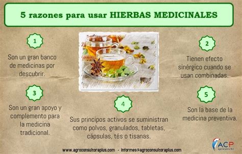 Arriba Imagen Recetas De Hierbas Para Curar Enfermedades Abzlocal Mx