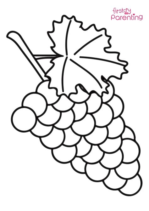 Easy Grapes Coloring Page For Kids Firstcry Parenting