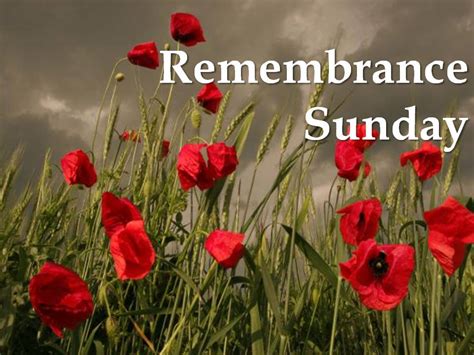 Remembrance Sunday November 6 1030 Am St Andrews Presbyterian