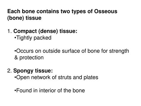 Ppt Osseous Tissue Powerpoint Presentation Free Download Id5374588
