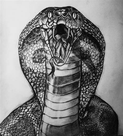 King Cobra By Pepsitate On Deviantart