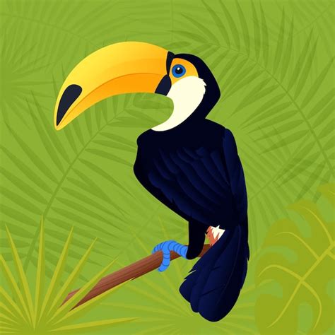 Premium Vector Toucan Exotic Birds Tropical Flowers Palm Leaves