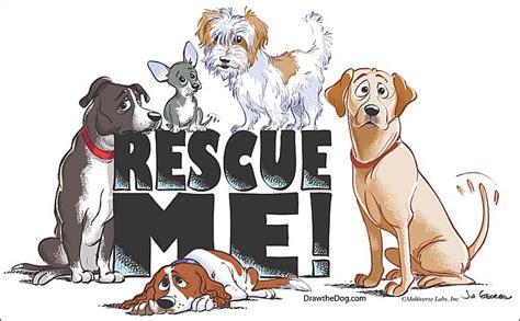 The Teachers Pets 7 Signs Of A Reputable Dog Rescue Organization