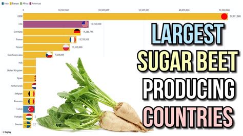 Largest Sugar Beet Producing Countries Youtube