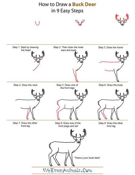 How To Draw A Deer Head Step By Step Easy