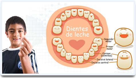 Odontología Pediatrica Puebla