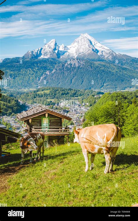 Beautiful Panoramic View Of Idyllic Alpine Scenery With Traditional