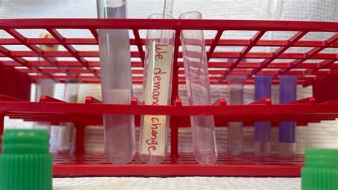 Petition · Labcorp, WE DEMAND CHANGE. Raise our wages and staff us