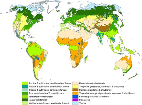 World Map Of Coverage Of 14 Terrestrial Biomes The 14 Terrestrial