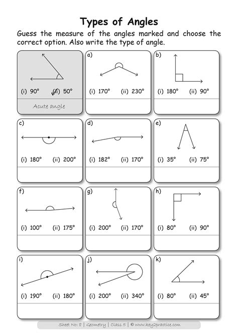 types  angles worksheets grade  maths keypractice workbooks