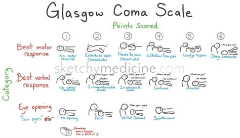 The glasgow coma scale was described in 1974 by graham teasdale and bryan jennett as a way to communicate about the level of consciousness of patients with an acute brain injury. Glasgow Coma Scale (GCS) | Sketchy Medicine