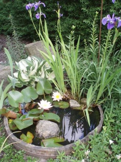 In a few words, dwarf water lilies make the joy of growing pond plants even more accessible to more gardeners. 30 Fresh Mini Ponds For Little Garden Ideas | HomeMydesign