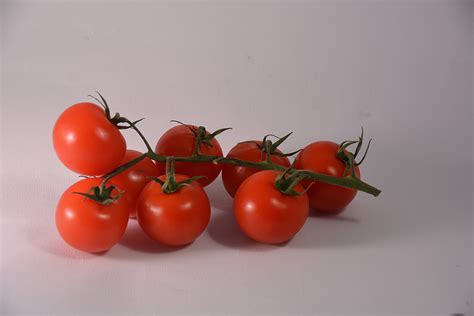 Tomatoes Vine Free Stock Photo Public Domain Pictures
