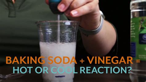 Vinegar And Baking Soda Reaction Heat Up Or Cool Down Youtube