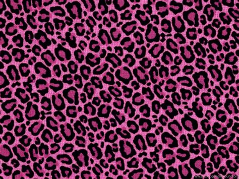 Leopard Print Pink Wallpapers On Wallpaperdog