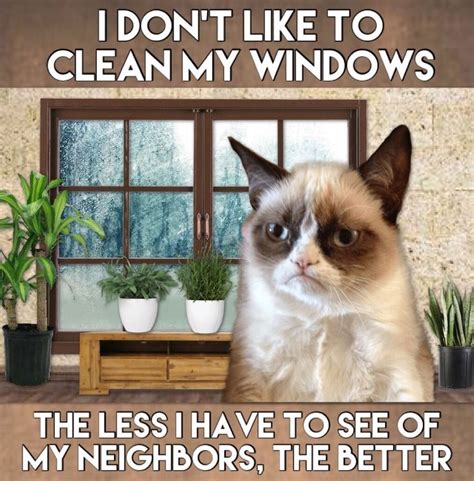 You can never argue with grumpy cat the expression itself is enough, it was a sad sad day when grumpy cat saw competetion in grumpy grand pa, but could not be happier at the same time because it relfects memes are damn so funny and hilarious when they are related to our daily life and routine. Grumpy Prefers Not To Clean The Windows. The To See Of The ...