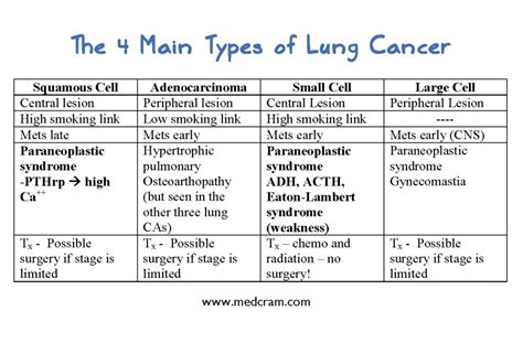 the different types of lung cancer