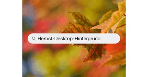 Bilder Zum Thema Herbst Desktop Hintergrund Kostenlose Bilder Auf