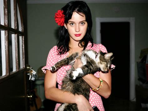 Kitty Purry The Katy Perry Wiki Fandom Powered By Wikia