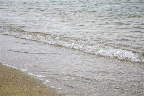 Calm Sea Wave Close Up On The Sandy Beach Stock Image Image Of