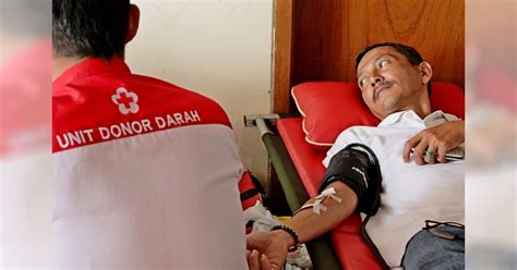 Mengutip antara, kamis (3/6/2021), wali kota berujar kota magelang sekarang sepi dan warga butuh keseimbangan. Tahun ini, 10 Pendonor di PMI Bojonegoro Terima ...